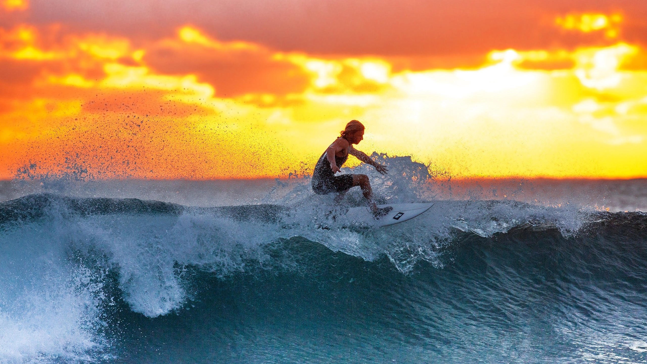 体育娱乐平台-红牌风云突变，孙兴慜一剑封喉！热刺绝地逆转十人曼城，红牌+绝杀！热刺2-1逆转十人曼城